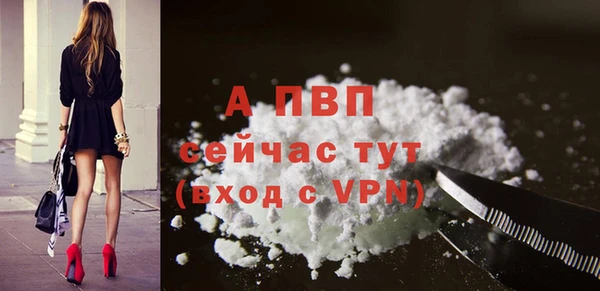 СК Протвино