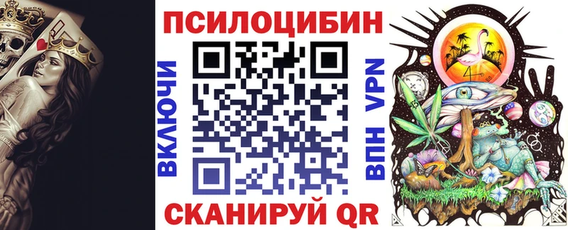 как найти закладки  Балахна  Галлюциногенные грибы Psilocybine cubensis 